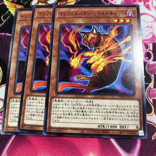 インフェルニティ・ワイルドキャット ノーマル