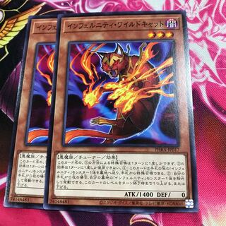 インフェルニティ・ワイルドキャット ノーマル２枚