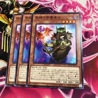 熟練の栗魔導士 ノーマル