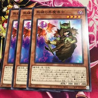 熟練の栗魔導士 ノーマル