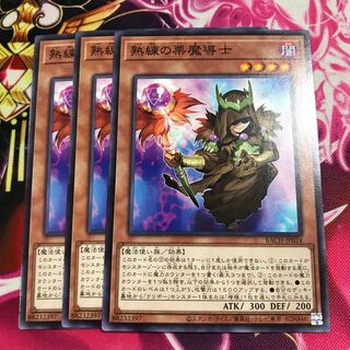熟練の栗魔導士 ノーマル