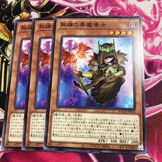 熟練の栗魔導士 ノーマル