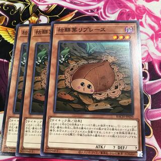 枯鰈葉リプレース ノーマル