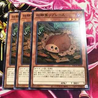 枯鰈葉リプレース ノーマル