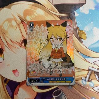 キタキツネ専用