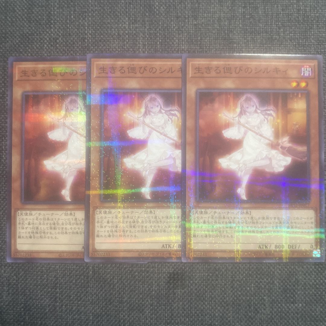 生きる偲びのシルキィ