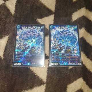 水上第九院 シャコガイル