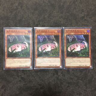 中国語　未界域のツチノコ　スーパー3枚