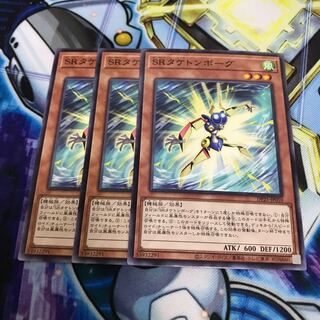 SRタケトンボーグ ノーマル　Hulu 3263