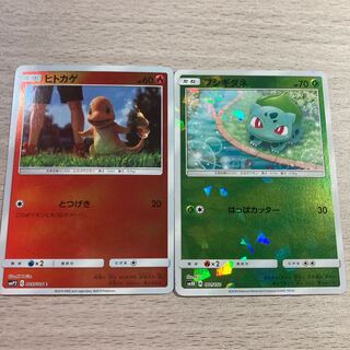 ヒトカゲ＆フシギダネセット　ミラー