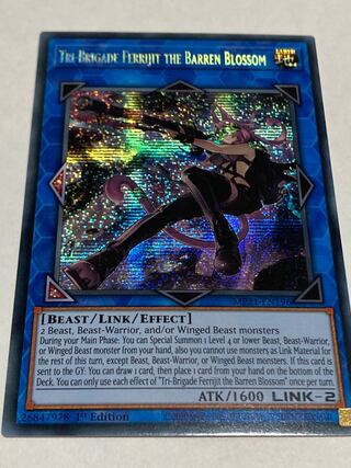 鉄獣戦線 徒花のフェリジット　英語版　EU版