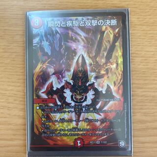 瞬閃と疾駆と双撃の決断