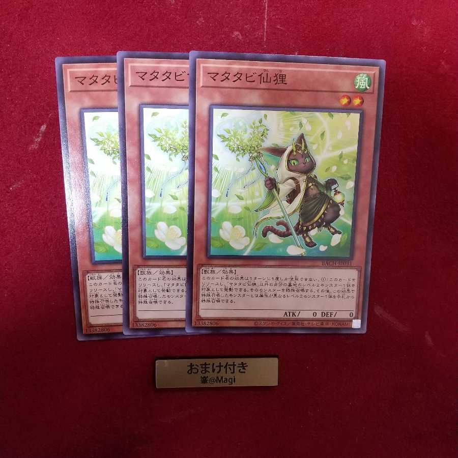 マタタビ仙狸 ノーマル　不屈の獣僕