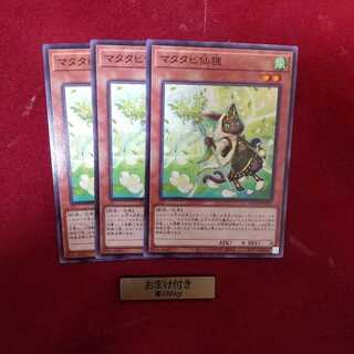 マタタビ仙狸 ノーマル　不屈の獣僕