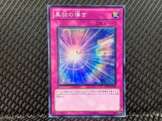 【ぽぽたん】遊戯王   -324   黒羽の導き スーパー