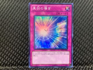 【ぽぽたん】遊戯王   -252  黒羽の導き スーパー