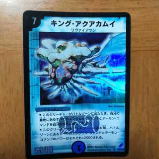 キング・アクアカムイ