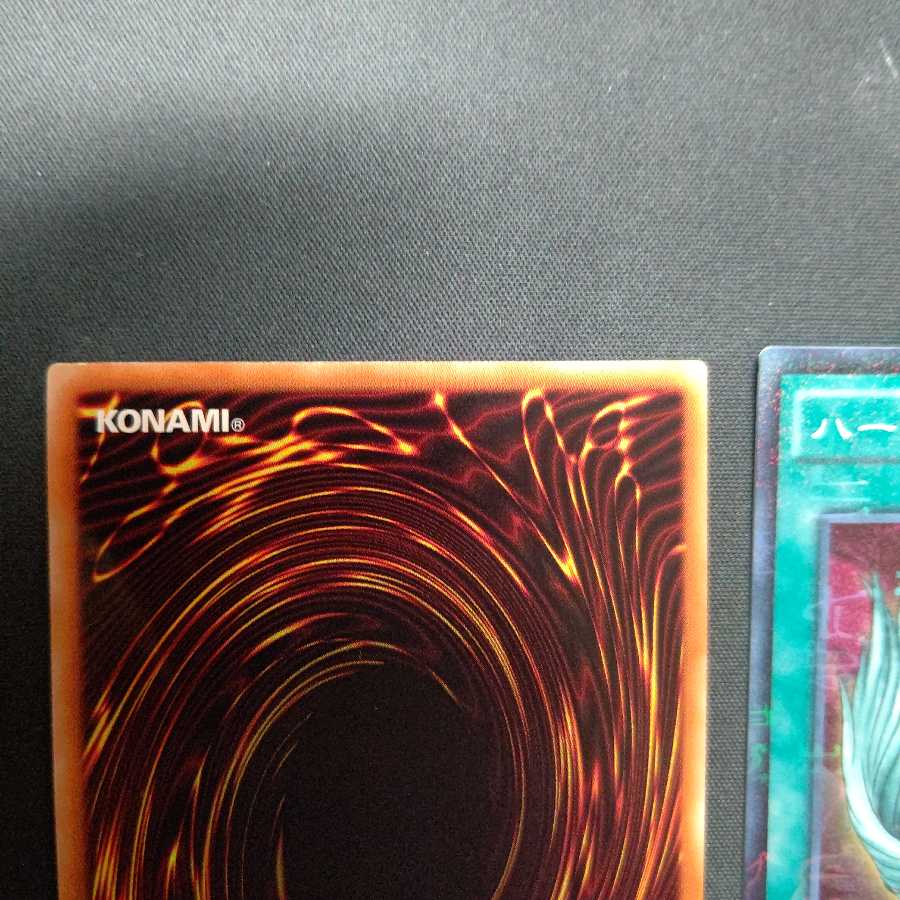 ハーピィの羽根帚 ミレニアムスーパー