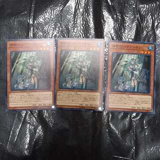 Crusadia Arboria Normal 3 pieces