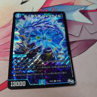 水上第九院 シャコガイル