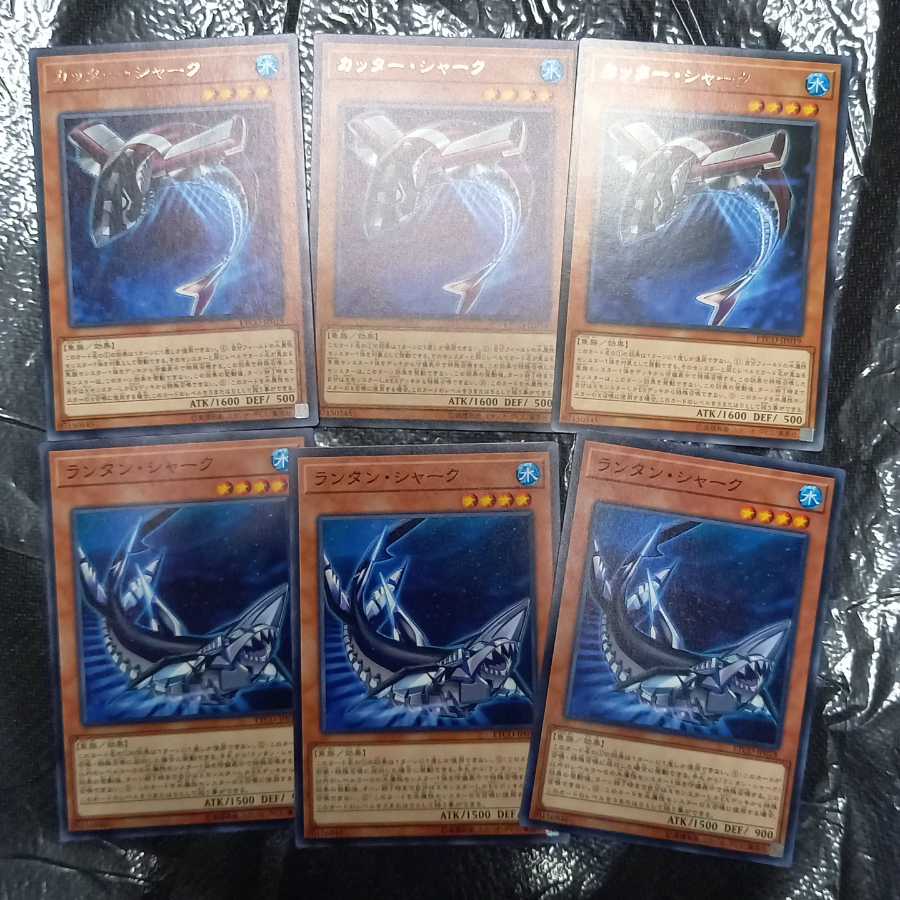 Buzzsaw Shark Rare & Lantern Shark 6 total