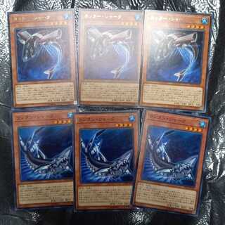 Buzzsaw Shark Rare & Lantern Shark 6 total