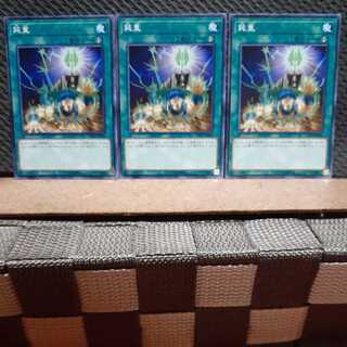 Popotan] Yu-Gi-Oh! 141 Gravity Lash 3 cards, normal