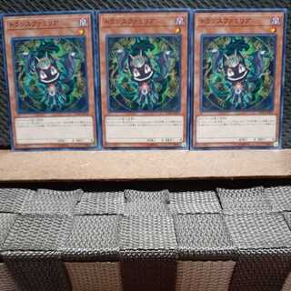 【ぽぽたん】遊戯王 5681  トランスファミリア  3枚 ノーマル