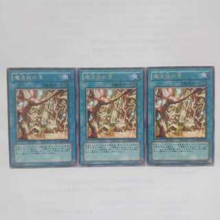 121 魔法族の里 3枚 鮭イクラ商店