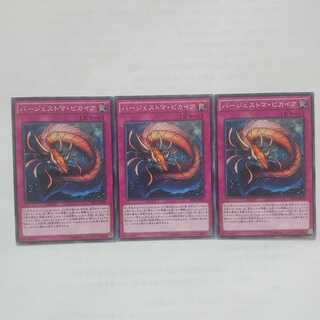 122 バージェストマ・ピカイア 3枚 鮭イクラ商店