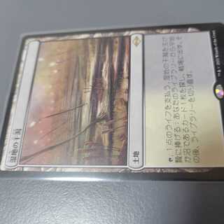 Magic the Gathering 湿地の干潟