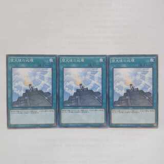 145 Darklord Contact 3 pieces Salmon Salmon roe store