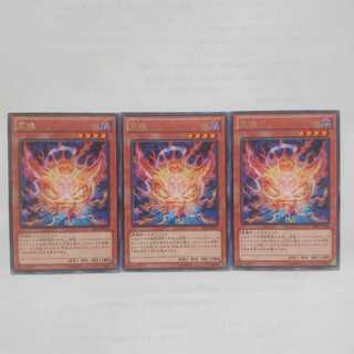 149 荒魂 3枚 鮭イクラ商店