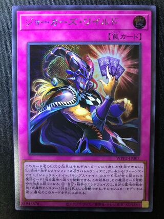 ジョーカーズ・ワイルド　SE