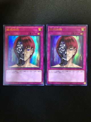 輪廻独断　2枚セット　UR