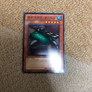 Catapult Turtle Normal JPA08