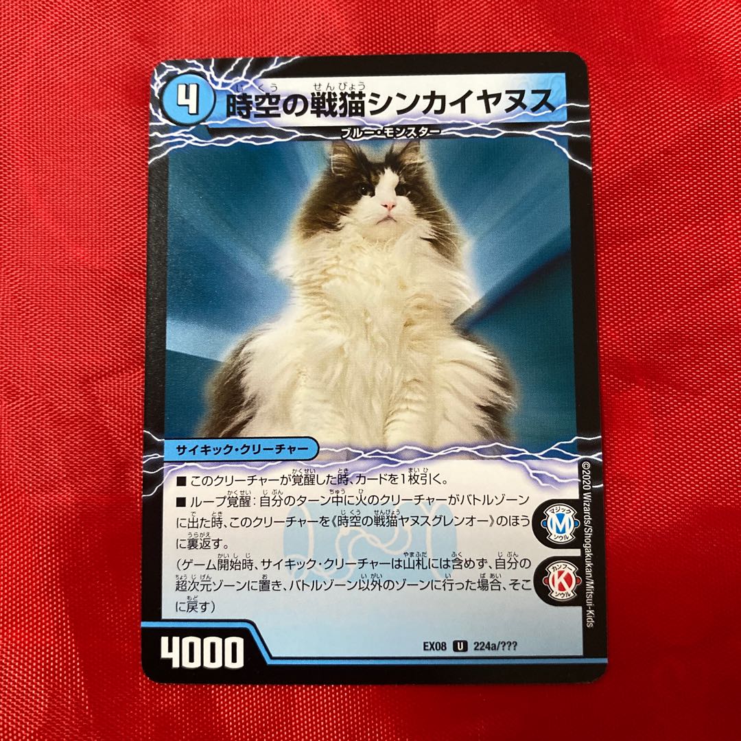 Space-time War Cat Shinkaiyanus|Space-time War Cat Janus Glenor
