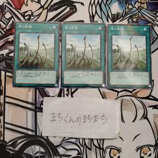 946　竜の霊廟3枚set