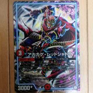 【最安値】アカカゲ・レッドシャドウ