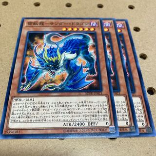 雷獣龍-サンダー・ドラゴン ノーマル 3枚