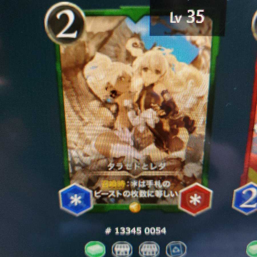 タラゼドとレダ2枚セット