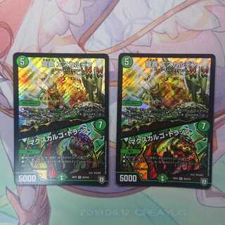 龍罠 エスカルデン｜マクスカルゴ・トラップ