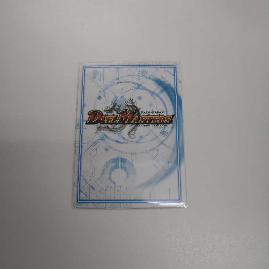 ゴッド・ガヨンダム シークレット