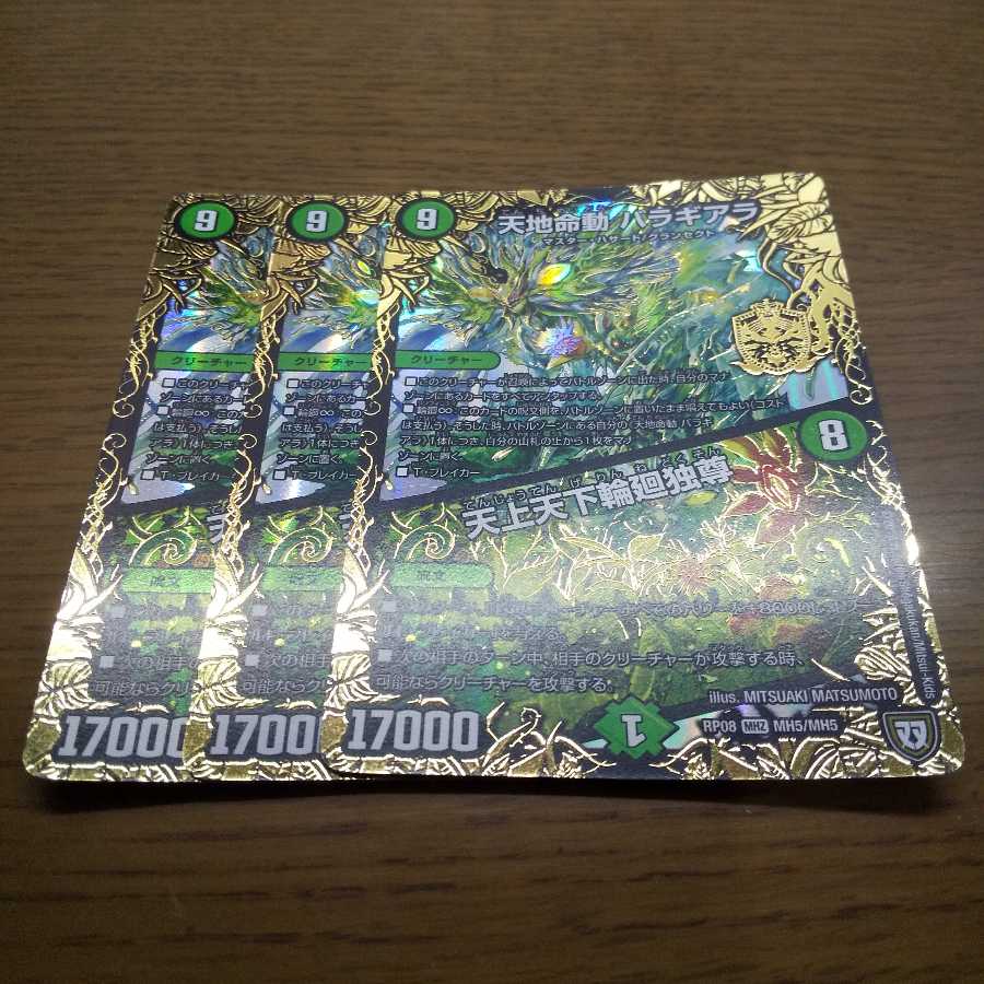 天地命動 バラギアラ｜天上天下輪廻独尊