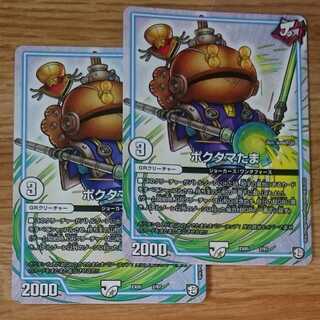 Poktama (variety of rice)