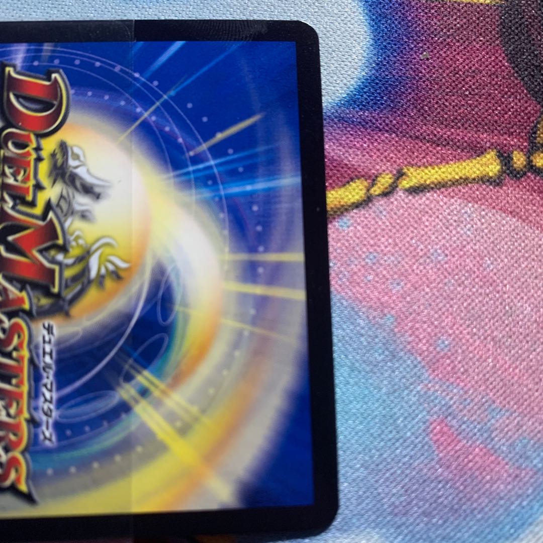 水上第九院 シャコガイル 微キズあり