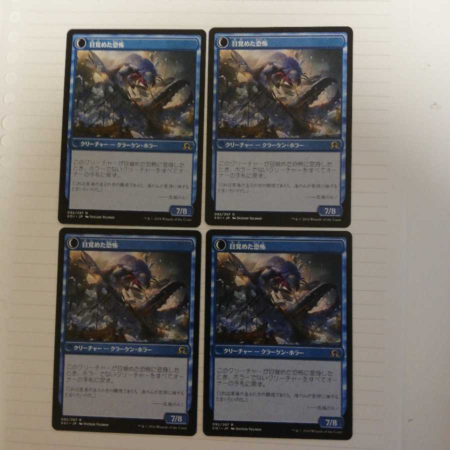 氷の中の存在　日本語　4枚セット