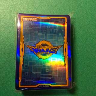 リンクブレインズボックス　スペシャルプロテクター