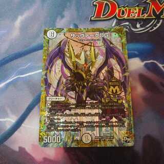 【専用ページ】サッヴァークDG+セット商品