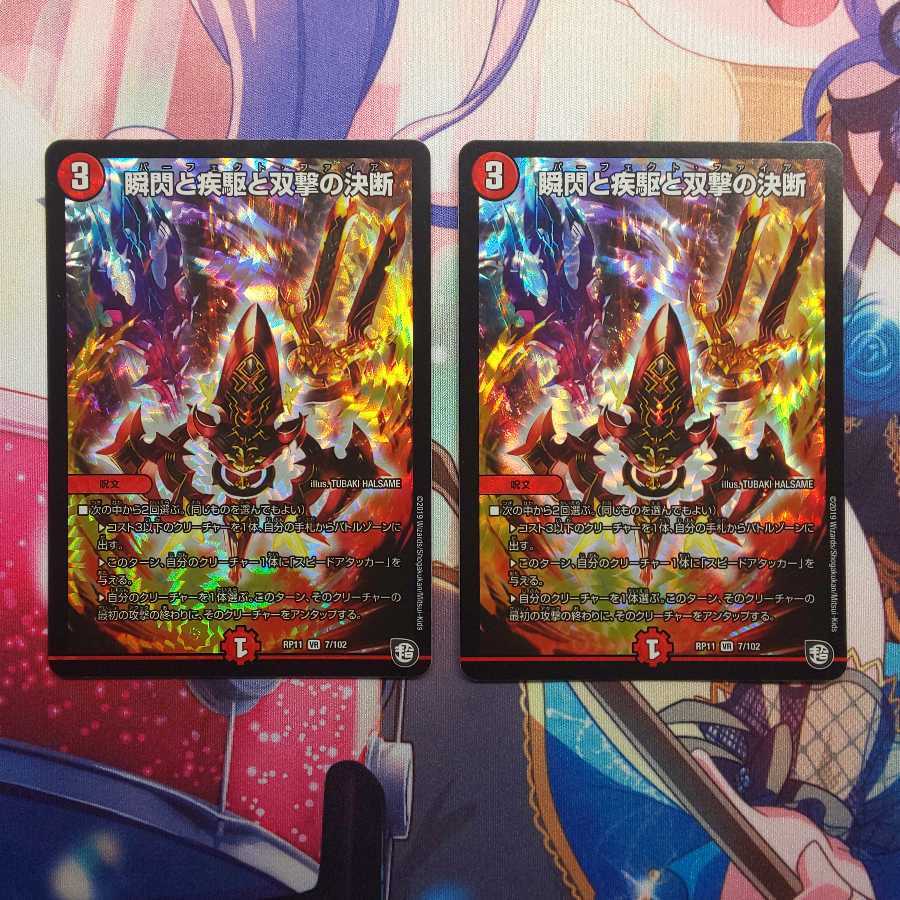 瞬閃と疾駆と双撃の決断